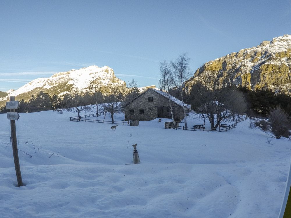 Espacio nórdico de Gabardito con raquetas de nieve