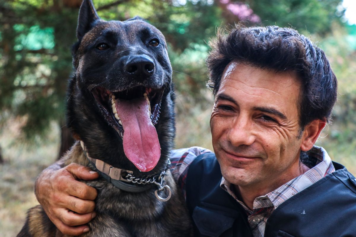 entrevista cesar reyes jacan residencia canina perros de rescate