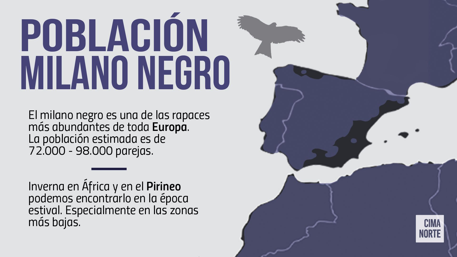 Mapa población milano negro europa