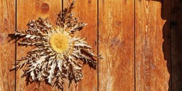 La cardincha en la cultura pirenaica