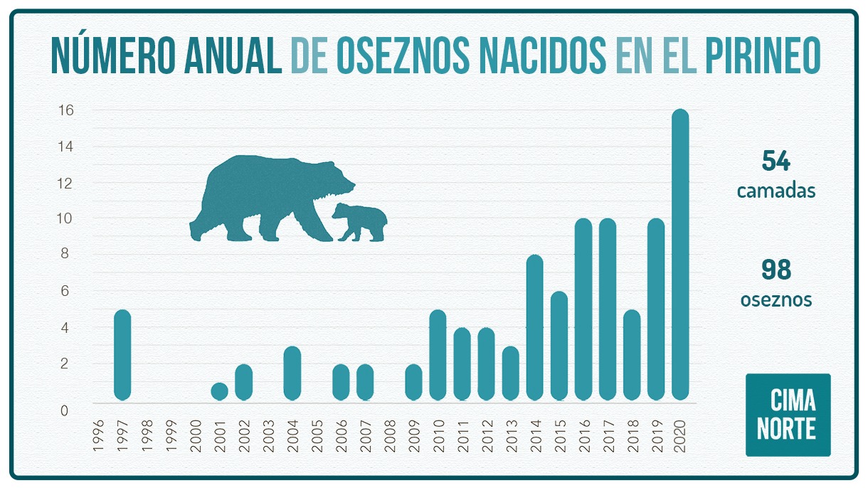 grafica numero anual de osos oseznos nacidos en el pirineo 2021