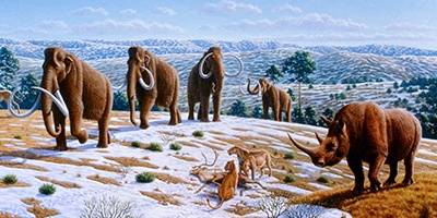 6 animales prehistóricos que vivieron en el norte de la Península Ibérica