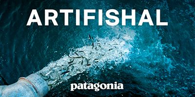Artifishal, el devastador efecto de los criaderos de salmón