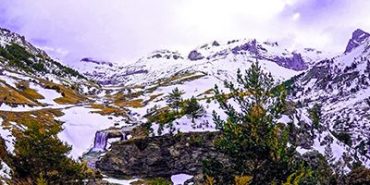 Liena del Bozo invernal