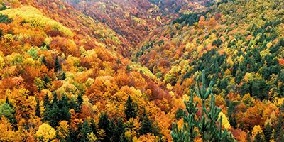 8 rincones mágicos para disfrutar del otoño en el Pirineo Aragonés